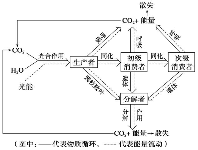 生态系统的物质循环——物质循环的主要特点